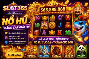 Slot365 số liệu và thống kê trải nghiệm người chơi