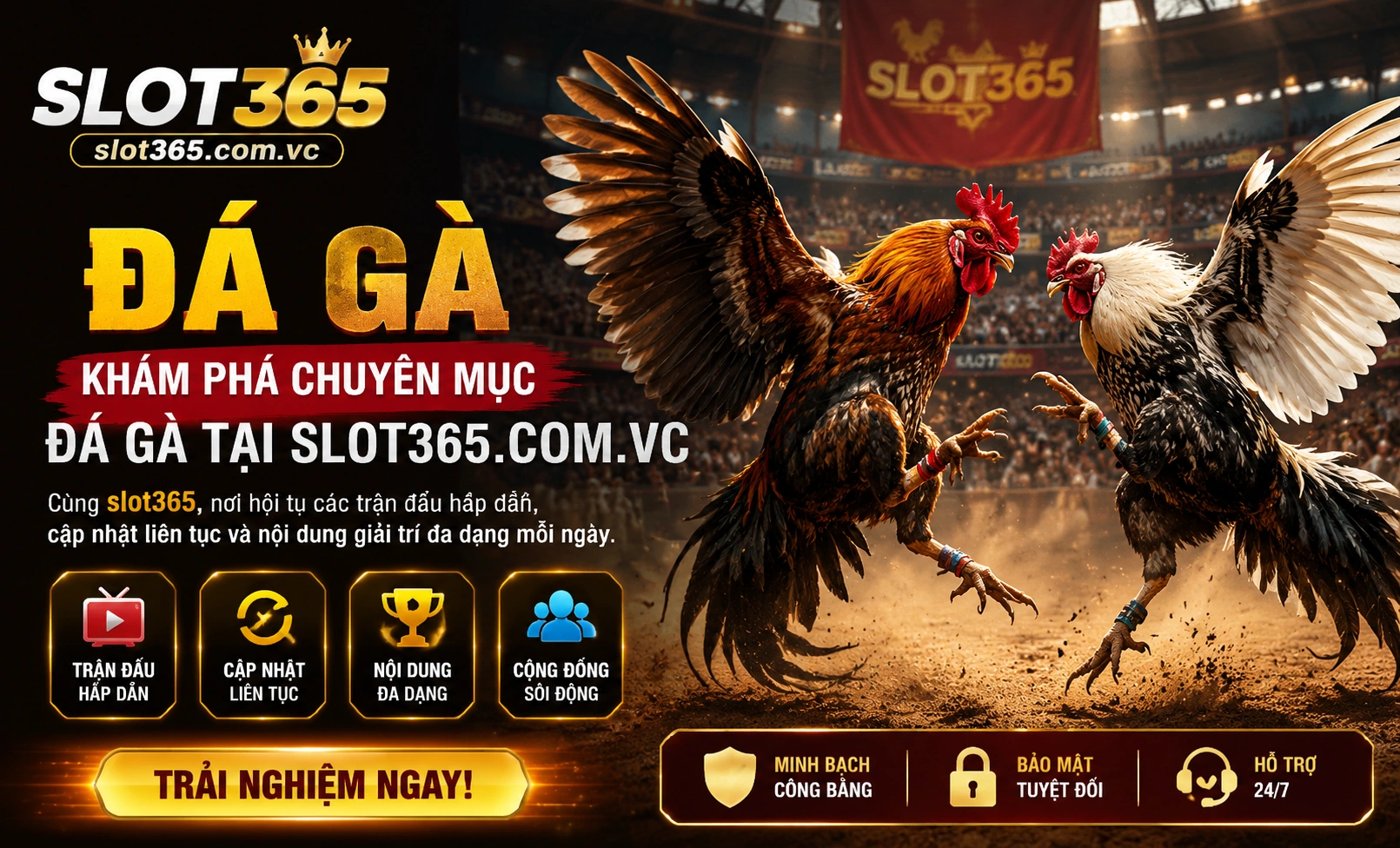 slot365 Đá Gà live match