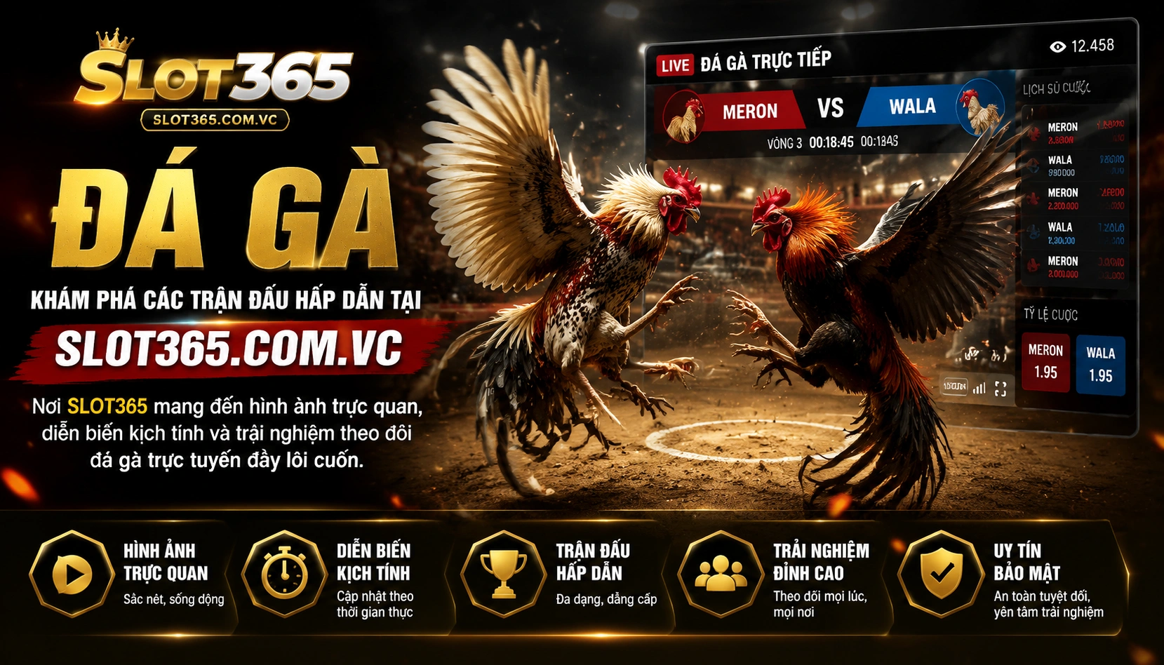 slot365 Đá Gà live 1