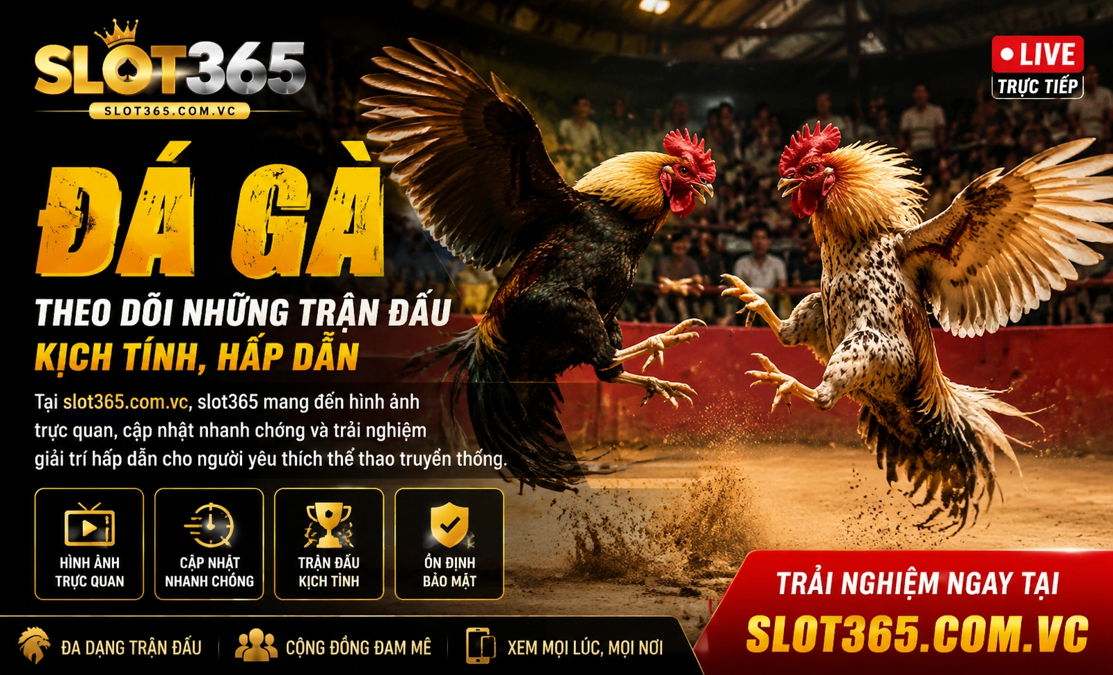 slot365 Đá Gà live 2