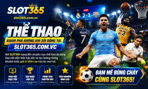 slot365 kèo live