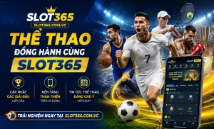 slot365 thể thao trực tuyến